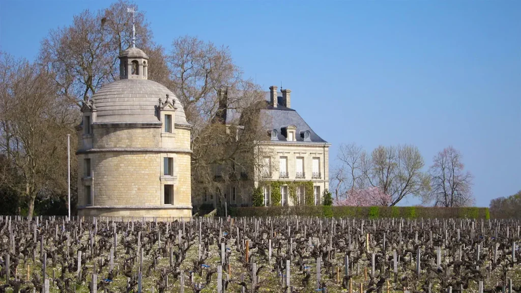 istoriia i vliianie vinodelni chateau latour bordo i sovremennost
