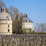istoriia i vliianie vinodelni chateau latour bordo i sovremennost