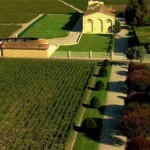 chateau mouton rothschild a look at the wine olympus