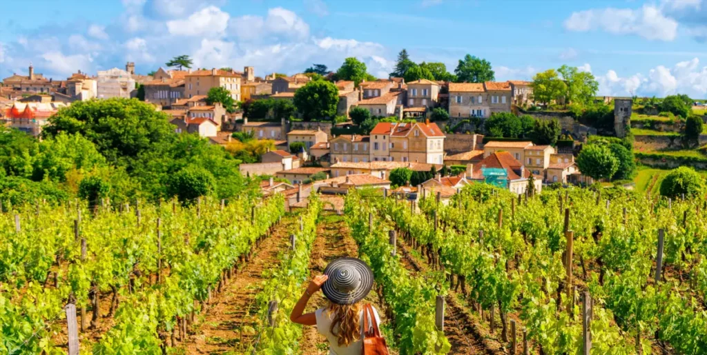bordo izvestniakovye terruary pravogo berega meniaiut stil merlo
