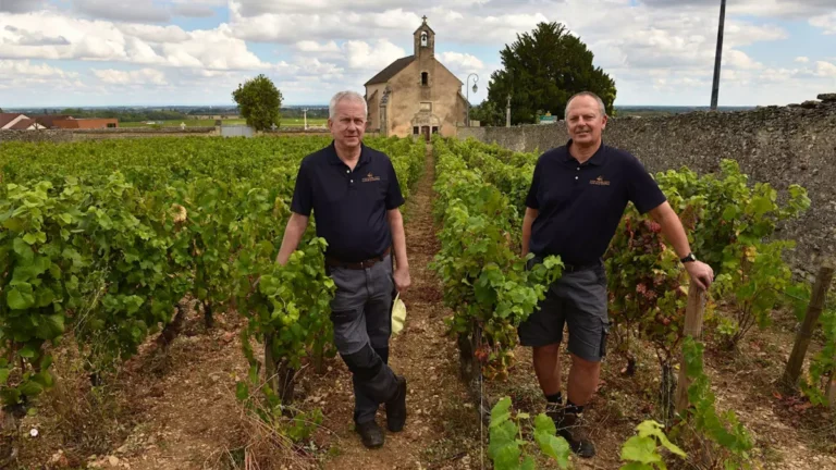 frantsuzskie vinodelni stolknulis s 25 protsentnymi poshlinami v ssha