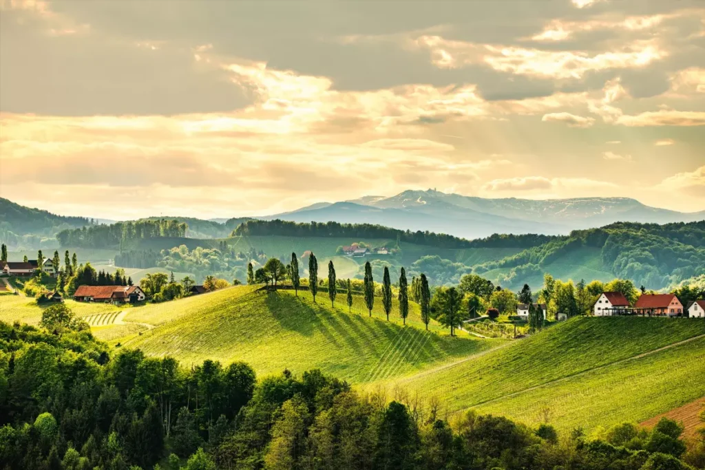 indulgentsiia dlia liubitelei vina otdykh v iuzhnoi shtirii
