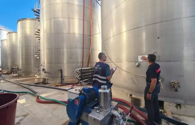 italiia izieiato 150 tonn poddelnogo vina primitivo igp na 15 mln evro