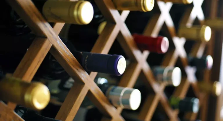 na foire aux vins predstavleny krupnye butylki chto ne propustit