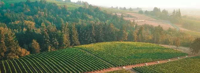 oregon i vashington v srochnom poriadke sobiraiut urozhai pered shtormami