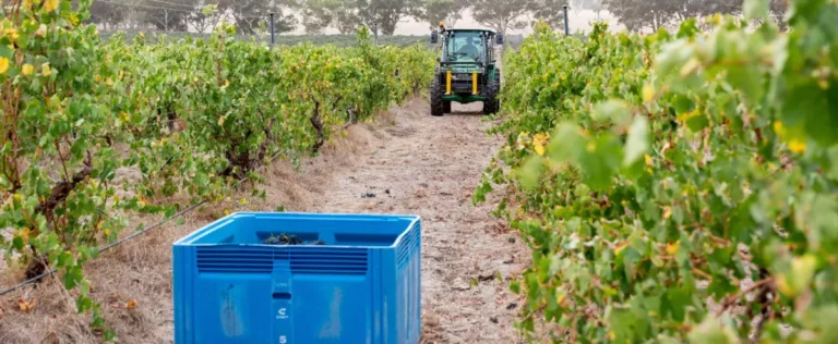 wine australia zapustila panel monitoringa eksporta vina