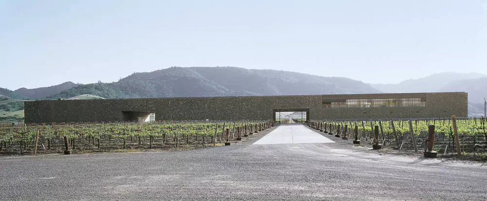 zagolovok novosti o dominus estate