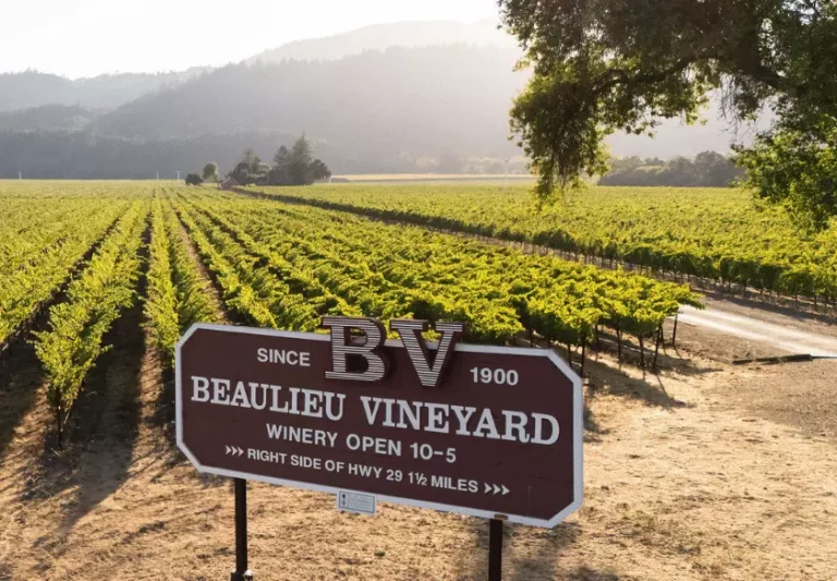 beaulieu vineyard otmechaet stoletie istorii i sovremennogo kaberne