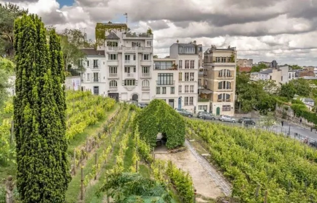 bordo vozmet pod opeku znamenitye vinogradniki parizha