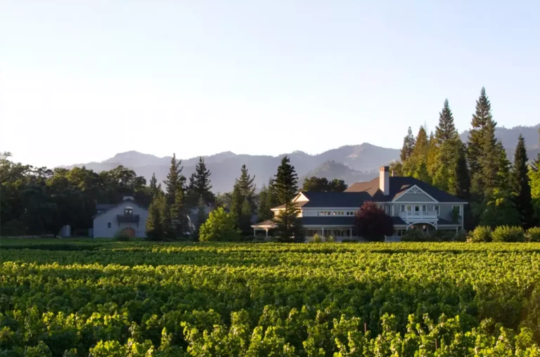 duckhorn vineyards novyi vintazh patzimaro poluchil 100 ballov ot wine advocate