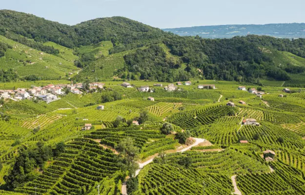 eksport italianskogo vina padaet v ssha no preztso dop rastet