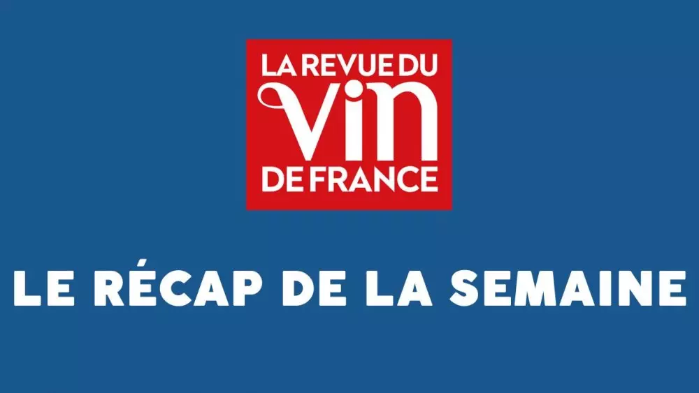 festival v bordo vydvinul organicheskie vina v lidery sprosa