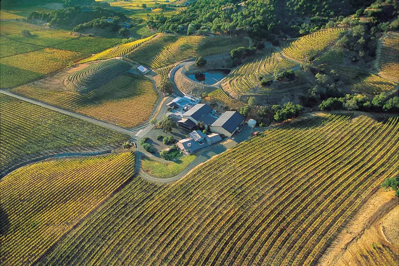 shafer vineyards kultovyi kaberne i terruar ameriki