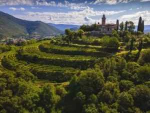 vinodelni dushi proekt po podderzhke malykh proizvoditelei italii