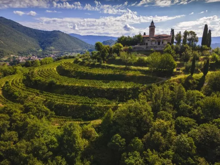 vinodelni dushi proekt po podderzhke malykh proizvoditelei italii