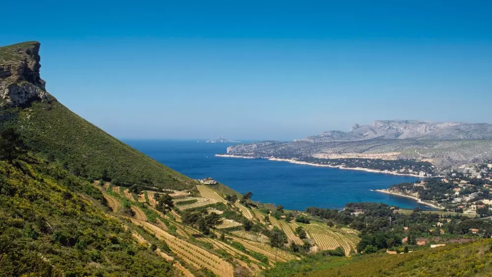 vinogradniki kassis provansalskaia zhemchuzhina u moria