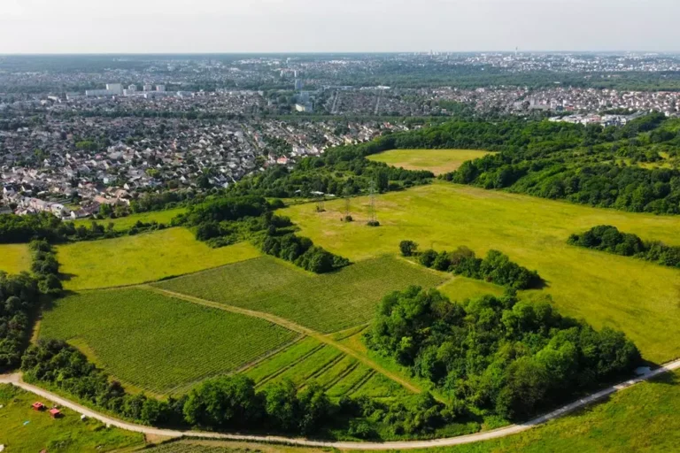 vozrozhdenie istoricheskogo vinodelcheskogo regiona il de frans