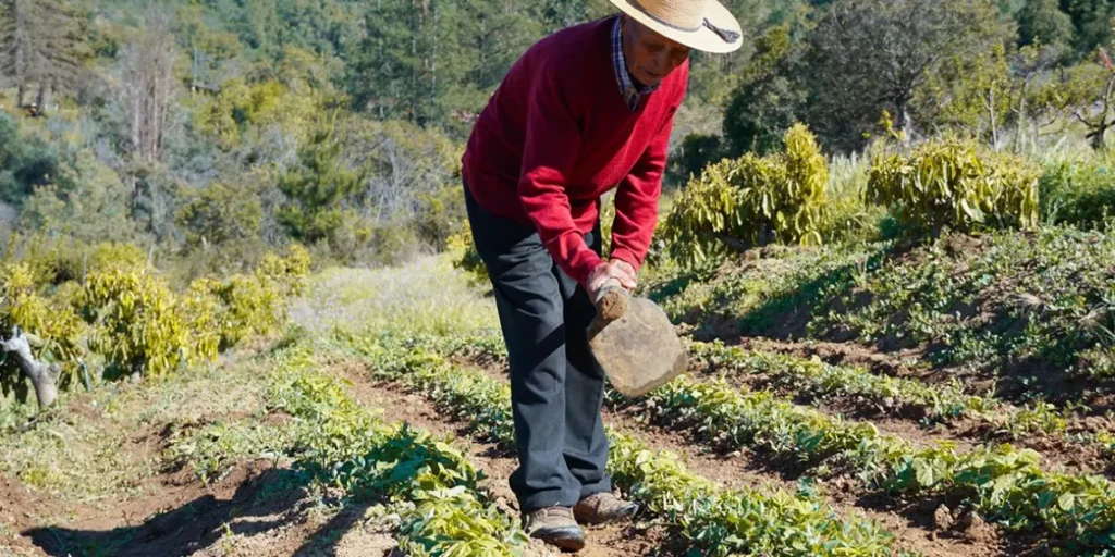 chiliiskii lolol priznan odnoi iz luchshikh turisticheskikh dereven oon