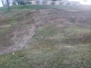 konsortsium kolo otkryl schet dlia pomoshchi postradavshim ot grada vinodelam