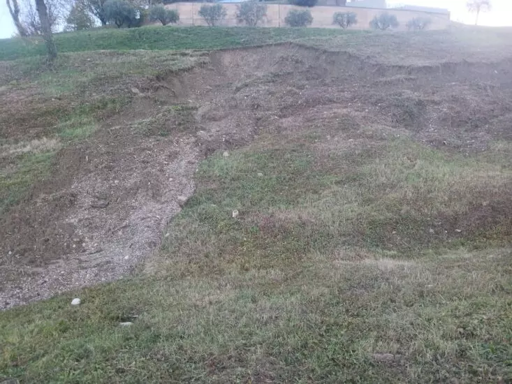 konsortsium kolo otkryl schet dlia pomoshchi postradavshim ot grada vinodelam