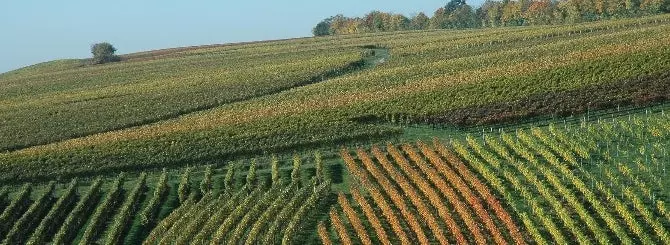 kritik raskritikoval sovinon blan rodzhera doltri