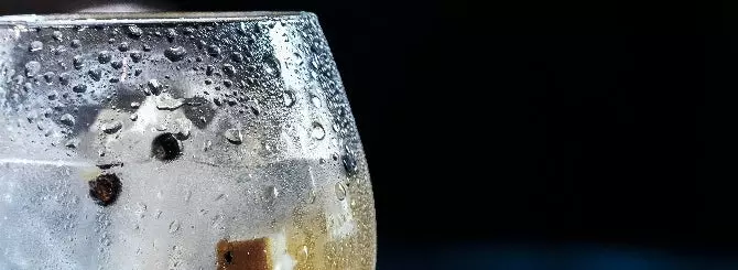 luchshie dzhiny mira nemetskii monkey 47 vozglavil reiting