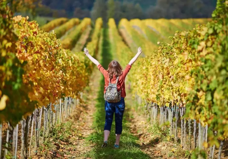 nfilm o vozrozhdenii vinodeliia alto adidzhe pokazan na festivale barbera dastin
