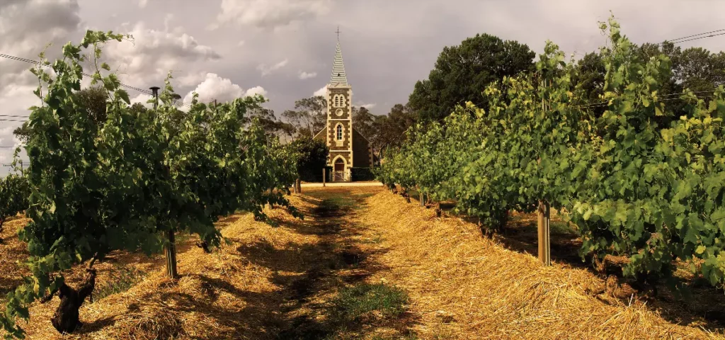 novosti o henschke semeinaia vinodelnia prodolzhaet podnimat planku kachestva i terruarnogo videniia