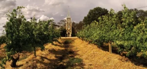 novosti o henschke semeinaia vinodelnia prodolzhaet podnimat planku kachestva i terruarnogo videniia