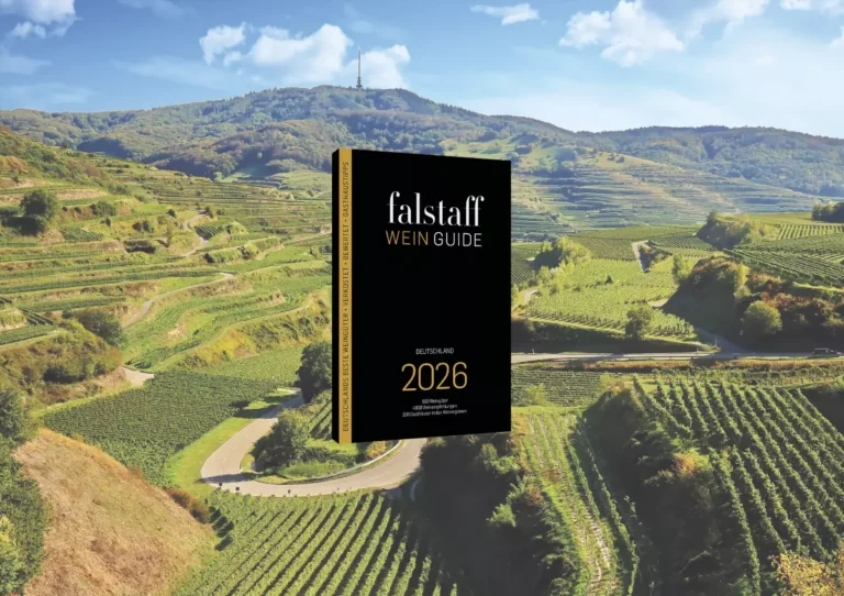 novyi vinnyi gid po germanii 2026