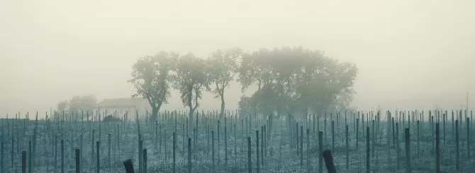 privideniia v vinodelniakh mesta gde istoriia ozhivaet