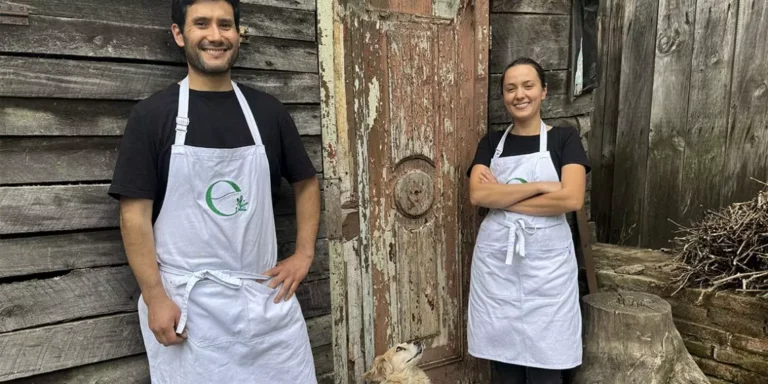 sobytie uzhin dialog o kulture chili cherez kulinariiu