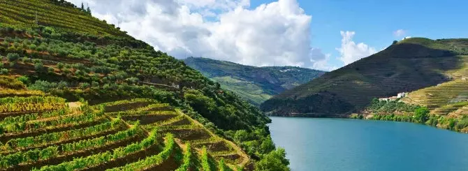 vyshla v svet kniga putevoditel po luchshim vinodelcheskim regionam mira