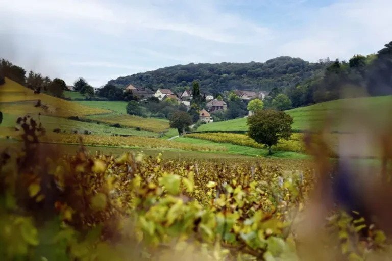 domen pera uvernua v zhiure obrel novuiu vladelitsu