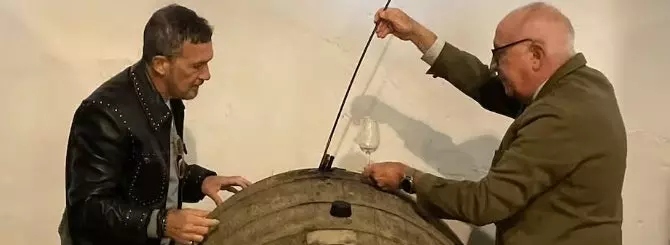 slezy zorro nebyvalyi dozhd prerval sbor urozhaia dlia kheresa v ispanii