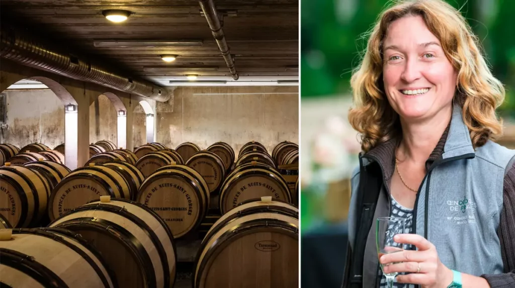 v hospices de nuits saint georges naznachen novyi rukovoditel sergei daniel