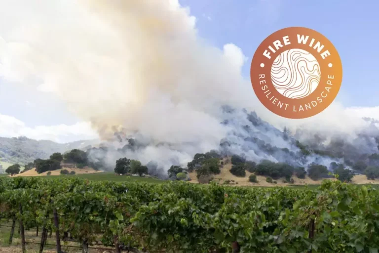 vinodely poluchat nagradu za rabotu po predotvrashcheniiu pozharov