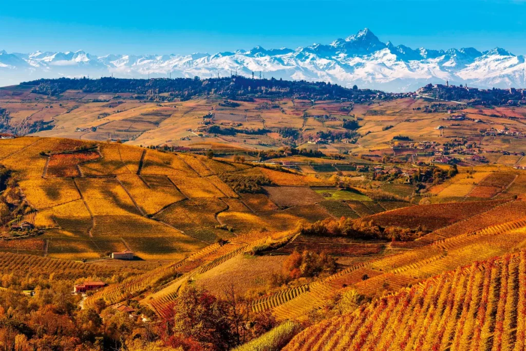 alta langa alpiiskie vysoty triufeli i igristoe vino