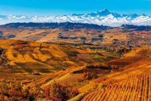 alta langa alpiiskie vysoty triufeli i igristoe vino