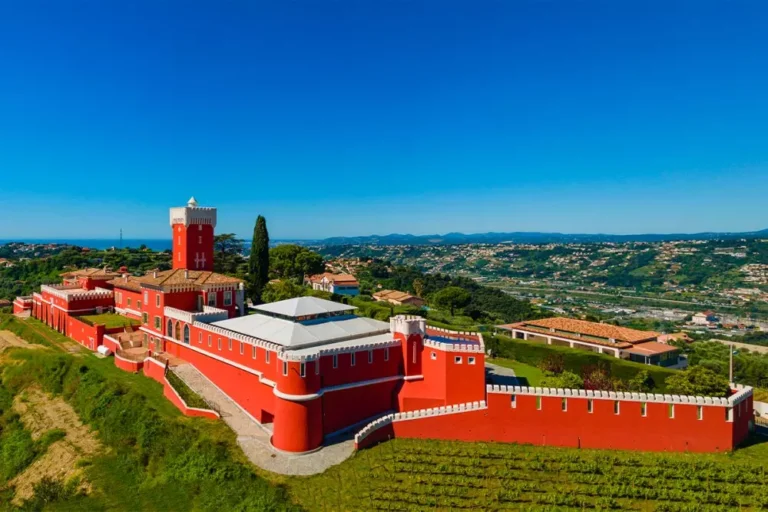 derichebourg diversifitsiruet biznes promyshlennyi gigant kupil vinodelniu v bordo