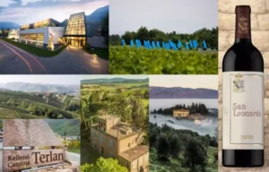 italianskie vinnye gidy ne smogli dogovoritsia o luchshem vine goda