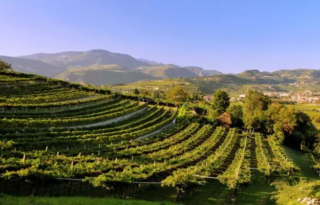 italiia uchrezhdaet premiiu za sokhranenie istoricheskikh selskikh peizazhei