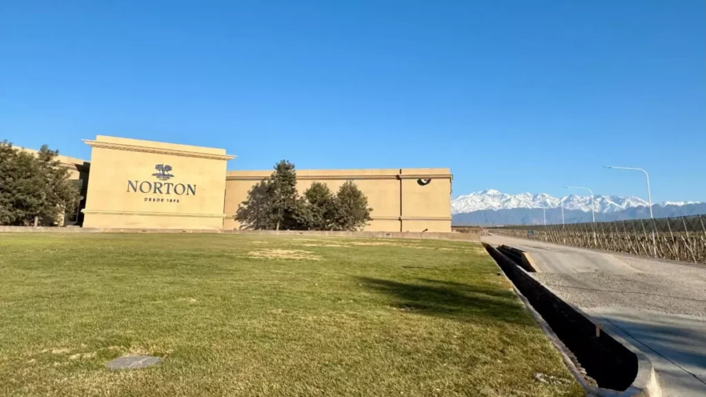 krupnyi argentinskii vinodelcheskii kholding podal na bankrotstvo