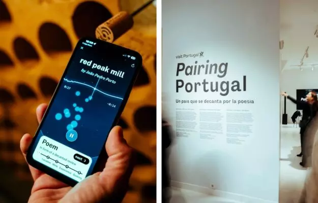 portugalskaia probka zagovorila qr kod rasskazhet istoriiu vina