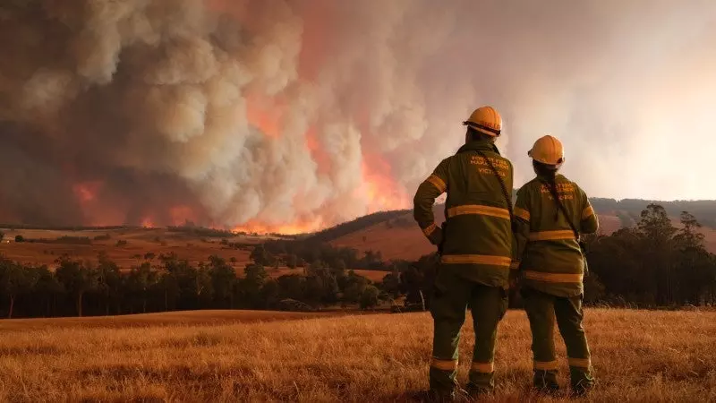 pozhary pronesli cherez viktoriiskie vinodelcheskie raiony