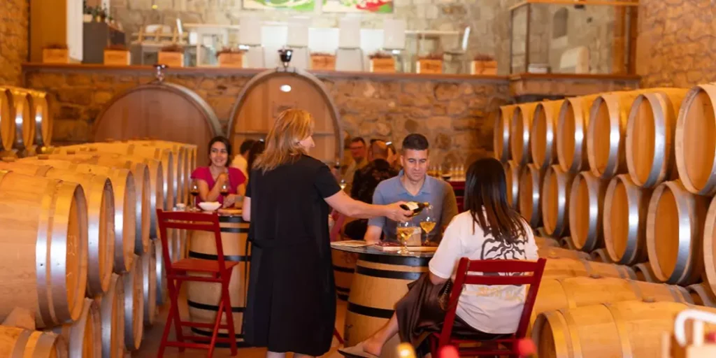 sozdana assotsiatsionnogo vinnogo turizma ibero ameriki