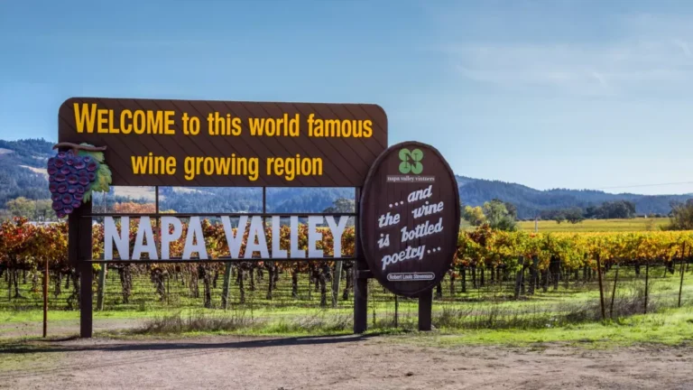 vinodelni napy snizhaiut tseny iz za pereproizvodstva