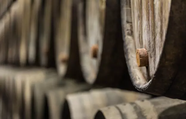 zapasy italianskogo vina rastut ot krupneishikh denominazioni do elitnykh gioiello