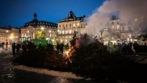 ekonomicheskii krizis v vinodelcheskom regione bordo