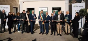 sozdan masshtabnyi vinnyi alians v severo vostochnoi italii